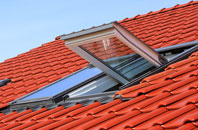 Green Street roof window